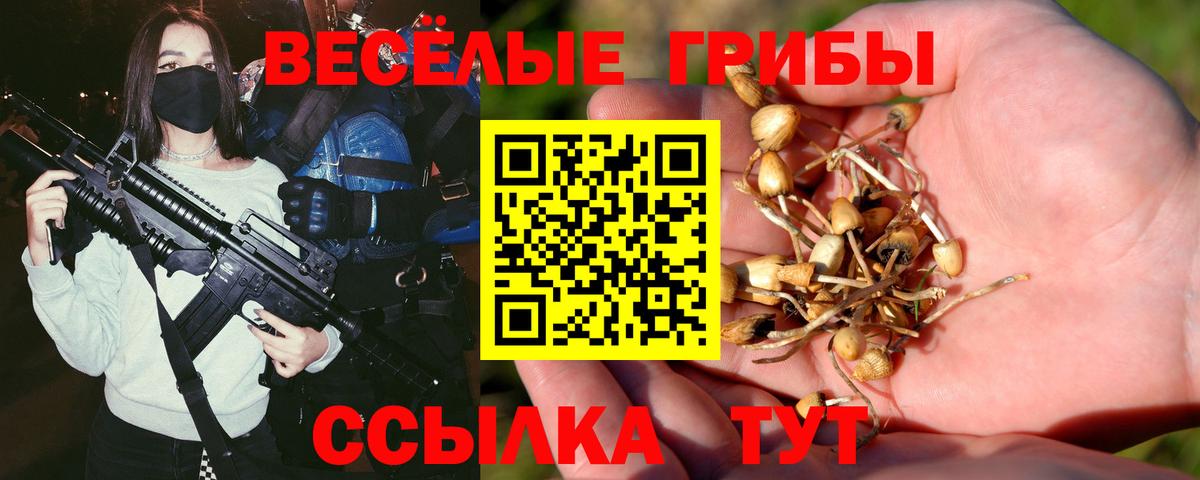 Галлюциногенные грибы ЛСД Надым